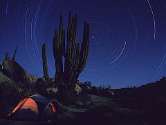 Star Trails Over Cordon Cactus Camp, Baja, Mexico